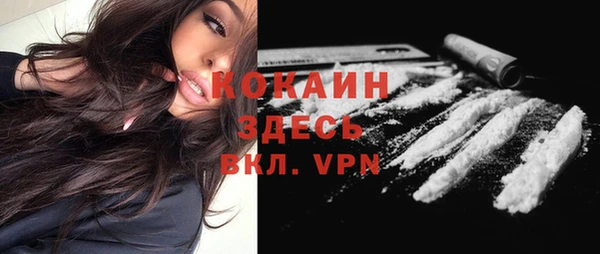 дмт Армянск