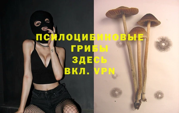 дмт Армянск