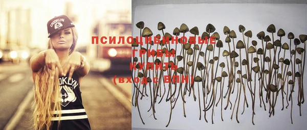 прущие крисы Аркадак