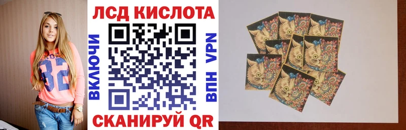 где можно купить наркотик  это официальный сайт  Наркотические марки 1500мкг  Сясьстрой  МЕГА онион 