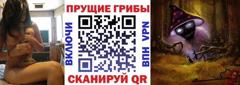 Галлюциногенные грибы прущие грибы  сайты даркнета клад  Сясьстрой 