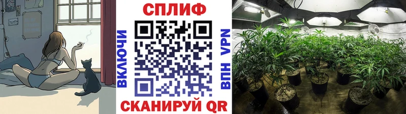 купить закладку  Сясьстрой  Бошки марихуана VHQ 